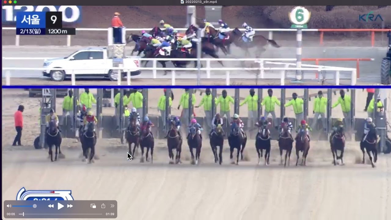 2/13 일요일 서울 9경주 설명