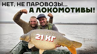 ЕСЛИ БЫ НЕ УВИДЕЛ - НЕ ПОВЕРИЛ! Ловля Гиганских Карпов.. поклевки ОДНА за ОДНОЙ! Карпфишинг или ФЛЭТ