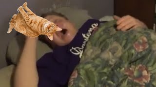 Violette1st YTP - Bill eats the cats