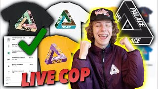 THE FINAL PALACE DROP! Palace Tri Ferg Tee Live Cop (Summer 2020)