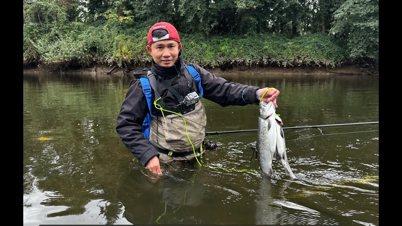My Best Time Fishing Coho (Silver) at River. YouTube