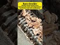 #doubleshaftshredder #bones #beefbonemarrow #boneka #machine #scraper
