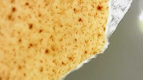 Eggshell Under Eelectron Microscope_Nature and Science