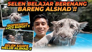 ALSHAD AJARIN SELEN RENANG DI KOLAM ! AWALNYA RAGU2 TAPI AKHIRNYA SELEN SENENG !!