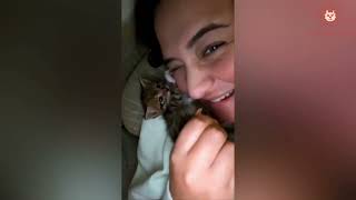 Funny Cat and Kitten Videos 2024 😹 Cutest Cats 🐱 Adorable Cats 🐱 Silliest Cats 😹 Compilation #2