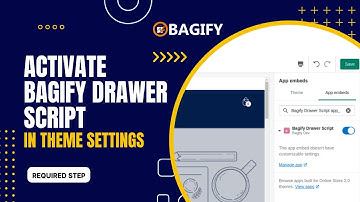 Activate Bagify Drawer Script in Theme Settings - Bagify App