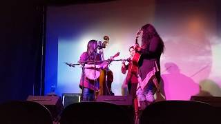 The Fly Birds The Band is Causing Problems @ The Indie on Main 12/1/18 YouTube