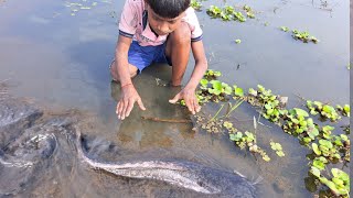 Traditional Hand Fishing | Village Boy Catching Big Catfish By Band |