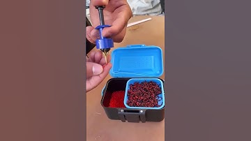 Cây kẹp mồi giun câu cá chép, cá diếc, cá rô phi siêu tiện lợi #fishing #shorts