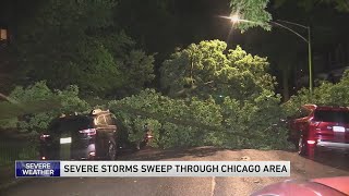 Details More severe storms in Chicagoland leave behind downed trees, power outages Update