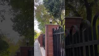 #سليمانية #كردستان_العراق #صباحيات سلمانية