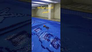 تعليم_السباحة سباحة الصدر