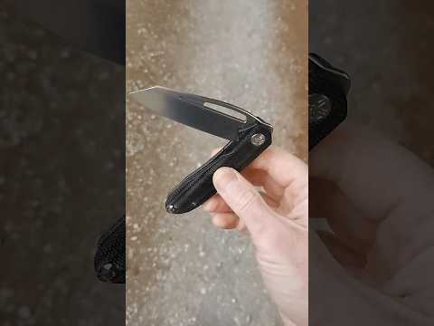 Walk n Flick: Tempest Pinion