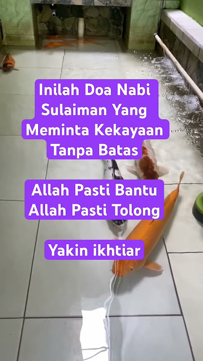 Inilah Doa Nabi Sulaiman Yang Meminta Kekayaan Tanpa BatasAllah Pasti Bantu Allah, Pasti Tolonng