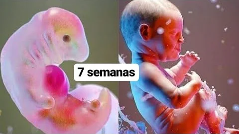 O que passar nos cabelos do bebê?