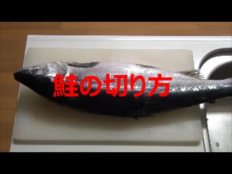 鮭の切り方　　素人編