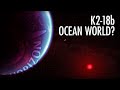 Is K2-18b a Hycean Exoworld? With Dr. Nikku Madhusudhan