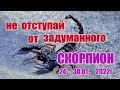 СКОРПИОН 🦂. 24 - 30 января 2022г. Таро прогноз, гороскоп для скорпиона.