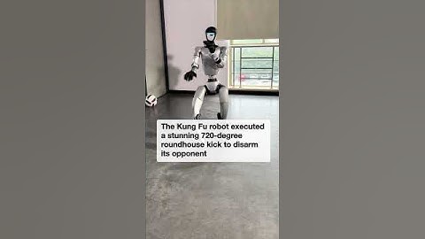 Chinese Kung Fu robot shows impressive martial arts skills