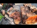 The Genius Carpenter Transformed a Tree Stump into a Coffee Table Filled With Love