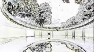 dj diktator - i want my planet back.wmv