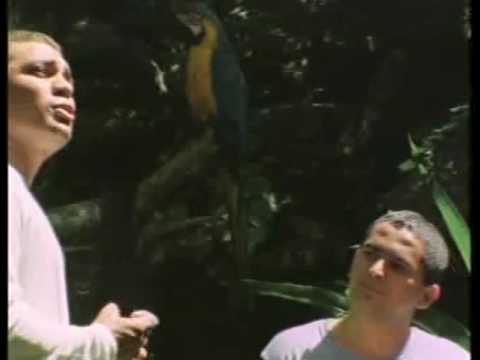binomio de oro olvidala descargar gratis binomio de oro olvidala descargar gratis