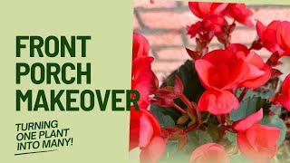 Turning One Plant into Many | Front Porch Garden Expansion by Auyanna Plants 2,532 views 1 month ago 16 minutes