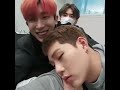 Monsta x sleepy jooheon 