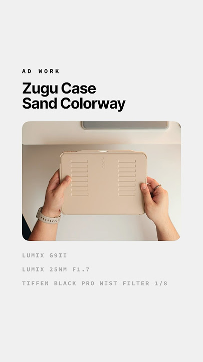 Recent Work for Zugu Case