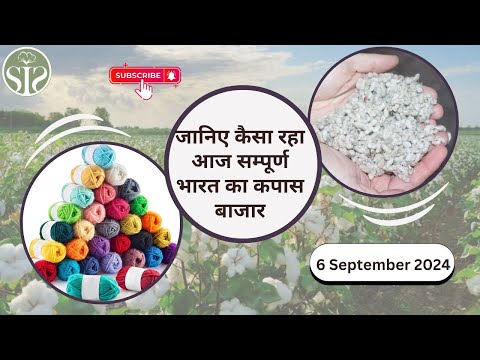 06 सितम्बर के कपास बाजार पर एक नजर😨 aaj ka kapas ka bhav😨 cotton market rate today #kapas #smartinfo