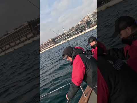 İstanbul Boğazında Kimsenin Anlatmadığı O Taktik JİGPARİ Istanbulboğazı 