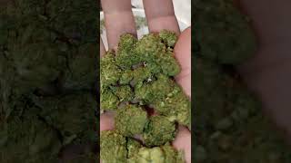 Lemon Drop THCA, @flametraincbd4573 (is it good?)