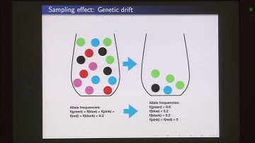 noc18-bt26 Lecture 40-Revision-III