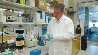 Research Impact | Advances in Bioprinting Hold Promise for Breast Cancer Patients