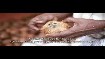 Chứng nhận FairTrade International