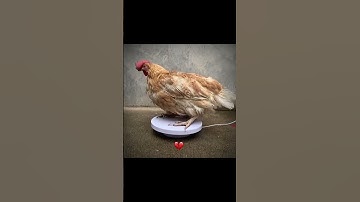 Trông cũng chiến đấy#shorts #tyunyun