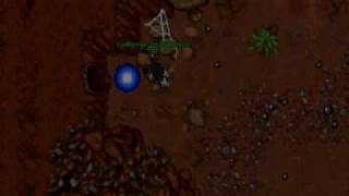 Tibia Hide