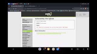 Celebrity File Upload Bypass ~ Burpsuite Net Worth
