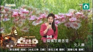 《鳳求凰》楊靜 - 曉晶cover