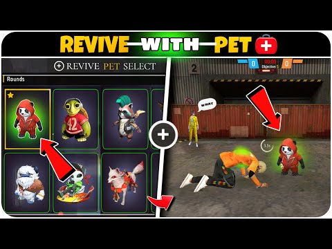 0.01 Sec. Revival
