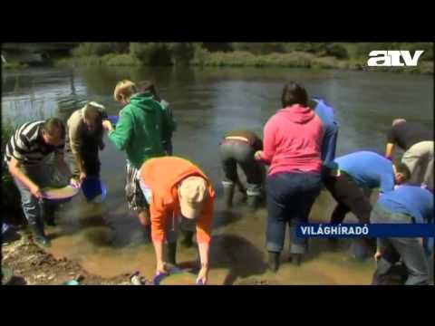 Videó: Hogyan Vonzhatom A Pénzt A Házhoz: Arany 