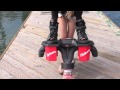 This Is Flyboarding