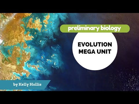 Evolution of Australian Biota - 8.5.3.iv) & c) - Pollination, Seed Dispersal & Asexual Reproduction