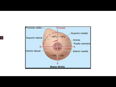 Vídeo: A Atividade Da Monoamina Oxidase-A é Necessária Para A Formação De Tumoresfera Clonal Pelas Células Tumorais Da Mama Humana