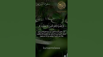 ولا تكونوا كالذين قالوا سمعنا اجمل تلاوات الشيخ سعود الشريم تلاوات قصيره حالات واتس آب قرآن