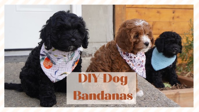 Sewing Tutorial Create Reversible Bandana 2024