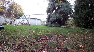 250 Quad Vs Tree