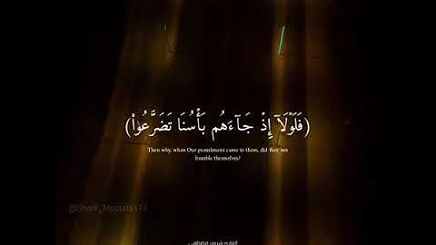 شريف مصطفي مقاطع قصيره قرآن كريم