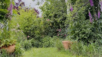 Australian Cottage Garden Ambience – Gentle Breeze, Birds & Distant Train (15 Minutes)