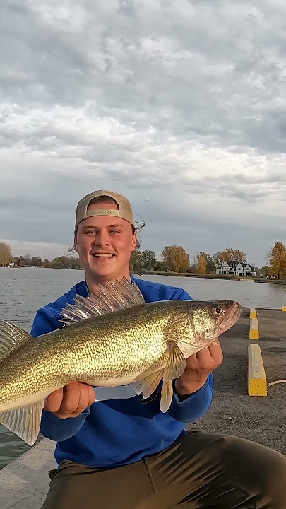 This is the ULTIMATE MUSKY Tackle Box (Giant Lure Storage) 